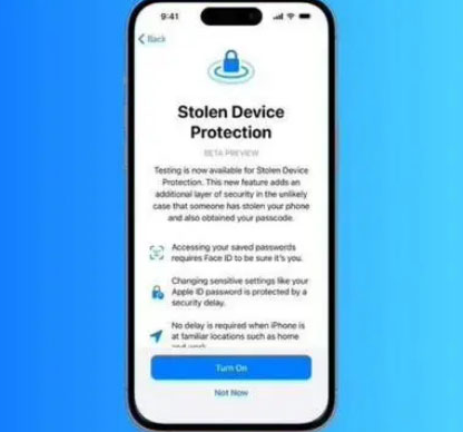 沙田镇苹果授权维修店分享被盗设备保护功能开启方法 