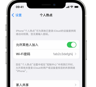 沙田镇apple服务站点分享iPhone上个人热点丢失了怎么办 