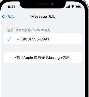 沙田镇apple维修iPhone上无法正常发送iMessage信息 