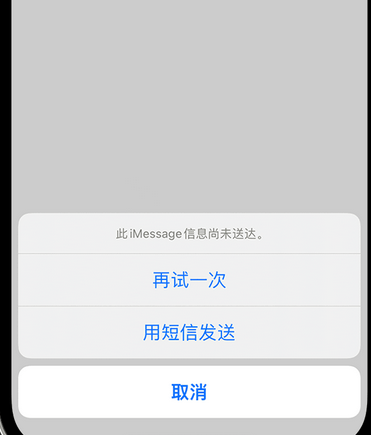 沙田镇apple维修iPhone上无法正常发送iMessage信息