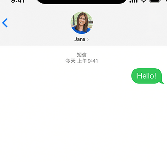 沙田镇apple维修iPhone上无法正常发送iMessage信息