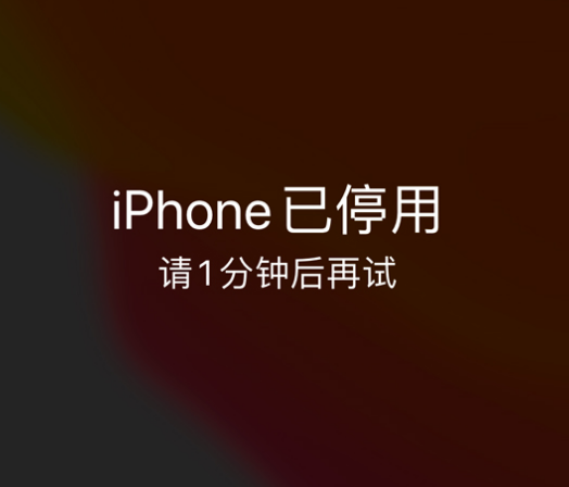 沙田镇苹果手机维修分享:iPhone 显示“不可用”或“已停用”怎么办？还能保留数据吗？ 