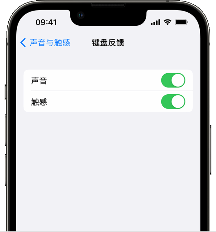 沙田镇苹果14维修店分享如何在 iPhone 14 机型中使用触感键盘 