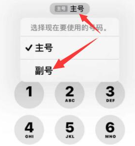 沙田镇苹果14维修店分享iPhone 14 Pro Max使用副卡打电话的方法 