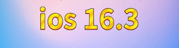 沙田镇苹果服务网点分享苹果iOS16.3升级反馈汇总 