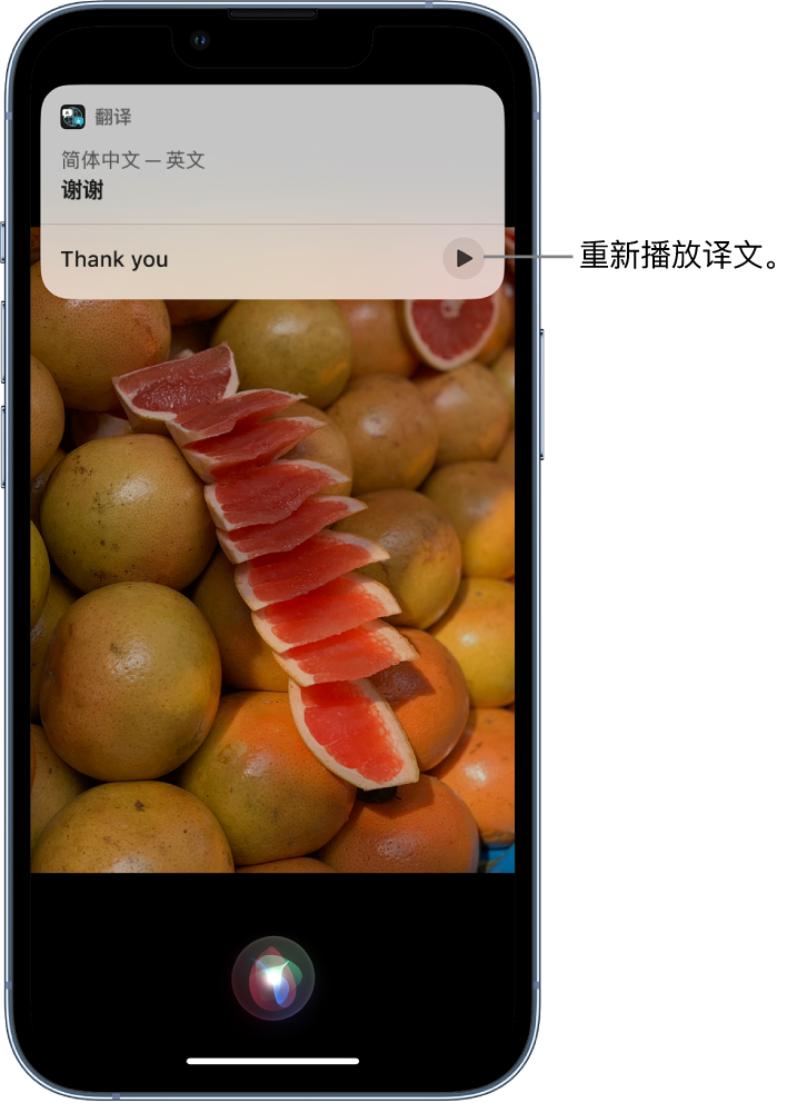 沙田镇苹果14维修分享 iPhone 14 机型中使用 Siri：了解 Siri 能帮你做什么 