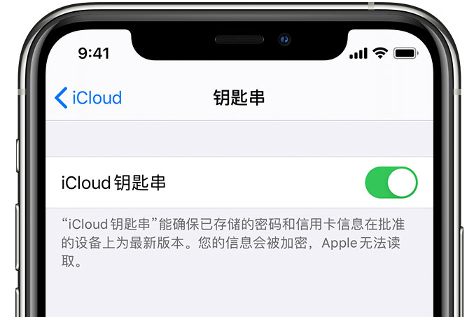 沙田镇苹果手机维修分享在 iPhone 上开启 iCloud 钥匙串之后会储存哪些信息 